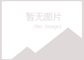 山西夏岚银行有限公司